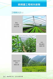 科技節(jié)水，智慧灌溉——寧波市水利局噴微灌技術(shù)推廣應(yīng)用宣傳冊