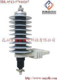 TOYO避雷器SA系列 高效防雷保護(hù)的可靠選擇